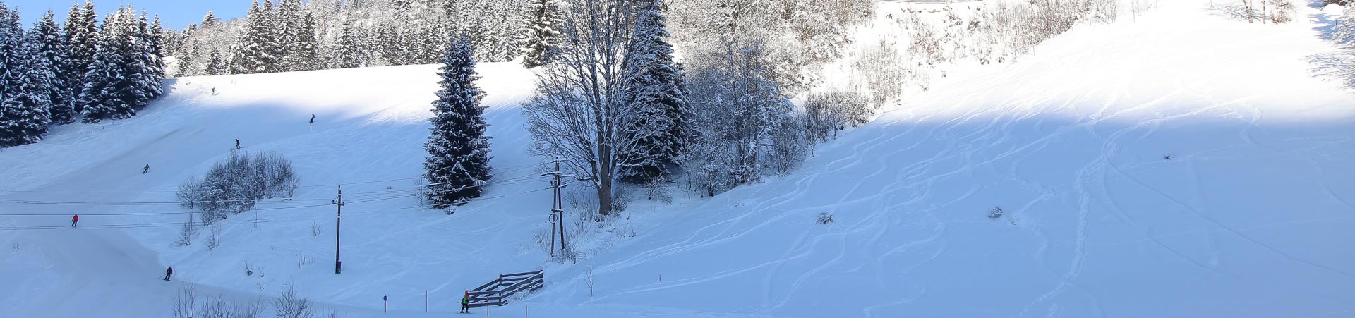 Ferienhaus Viehhofen Saalbach Winter 5